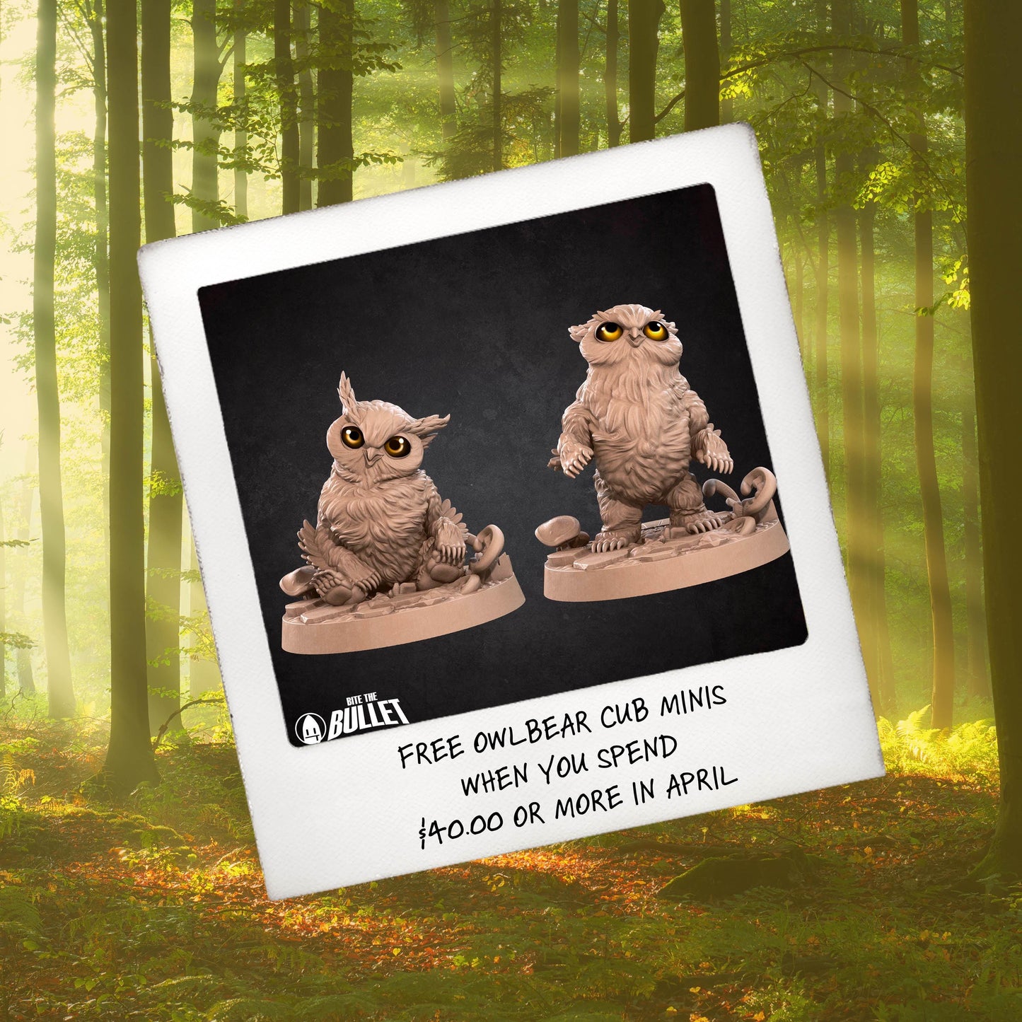 a picture of two owls sitting in the woods