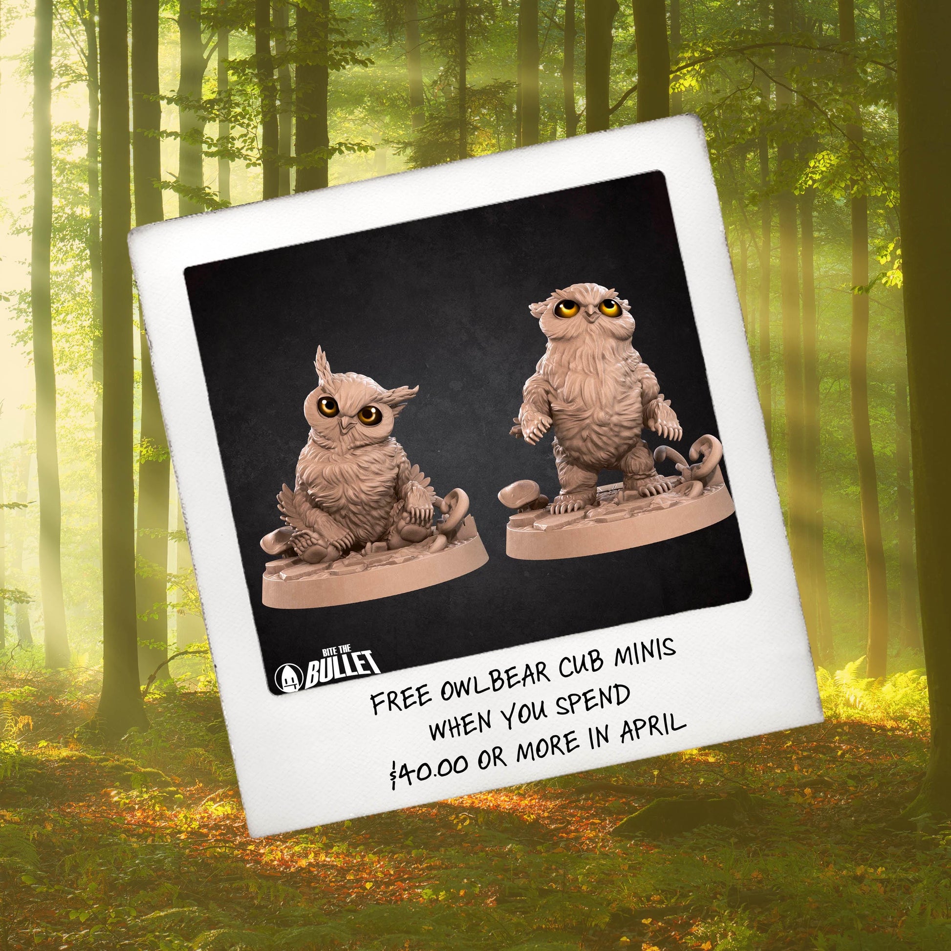 a picture of two owls sitting in the woods